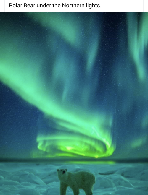 Screenshot_20220816-140059