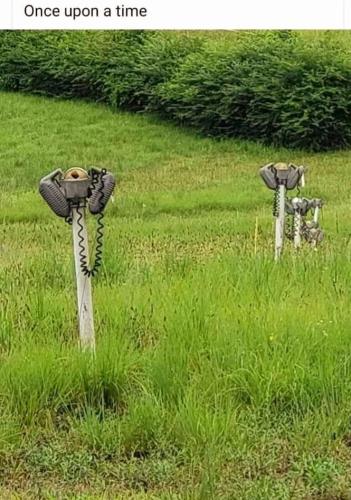 FB_IMG_1660863450592