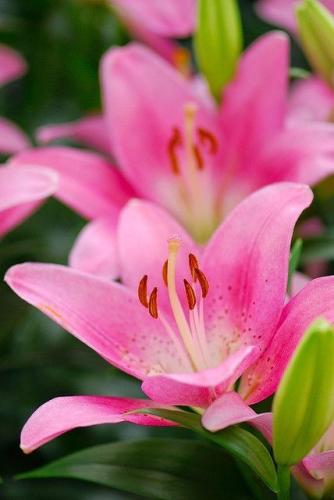 86b0ca5663c9da5ab2a1477aa8834513