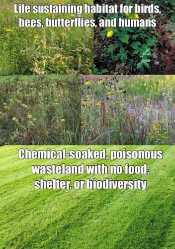 chemically soaked