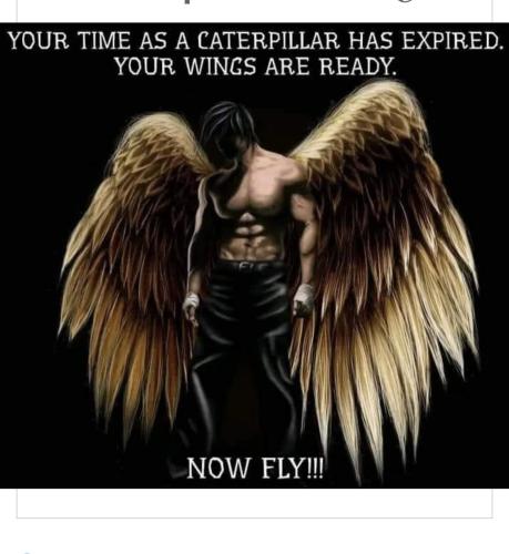 08:20:35 GMT+1200 (NZST).image