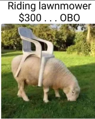 FB_IMG_1662747035370