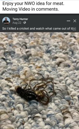 Screenshot_2022-09-18-09-32-16-302_com.facebook.katana