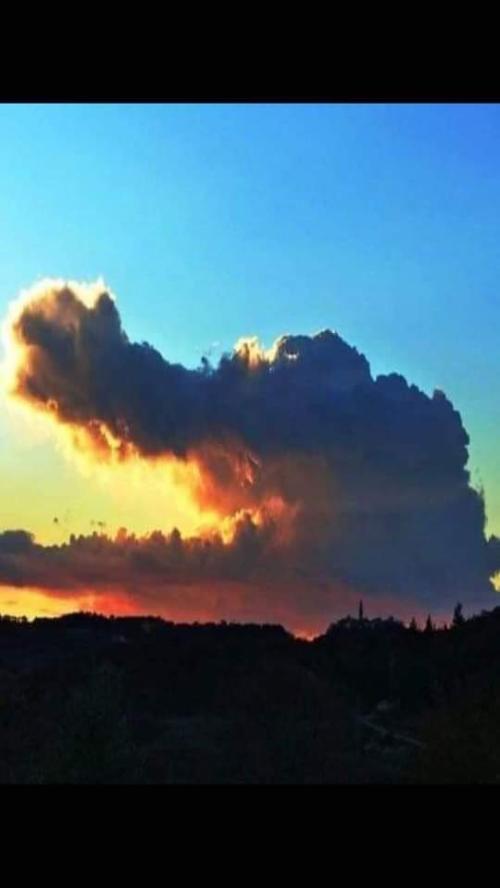 FB_IMG_1661388227222