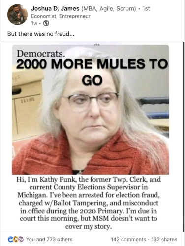 another 2000 mules arrest kathy Funk