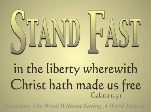 12006698_930788493669949_378991904925424720_o