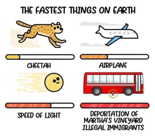 FB_IMG_1663685655294