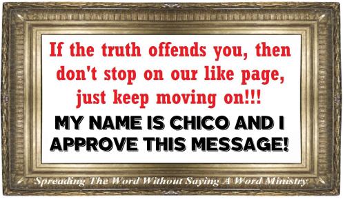 10562486_942600109155454_1933213417967521785_o