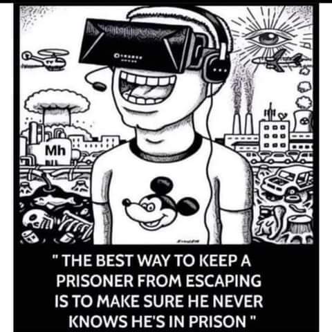 FB_IMG_1655006814951