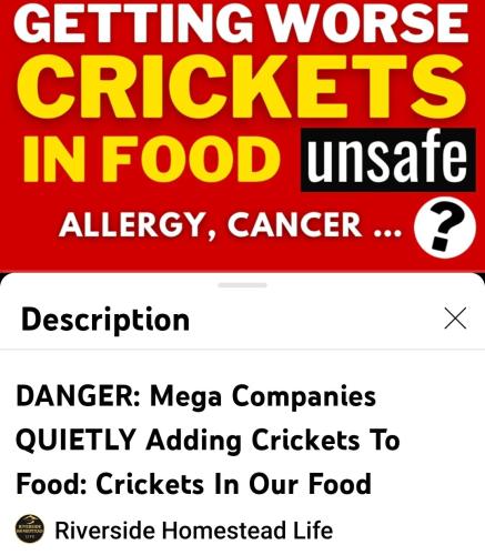 Screenshot_2022-09-13-09-03-03-873_com.google.android.youtube