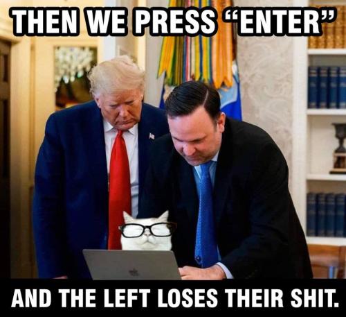 5c3ad8e66f6f6a5b4abccd4a57d8782c_1024