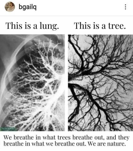 Screenshot_2022-09-14-06-57-15-069_com.instagram.android