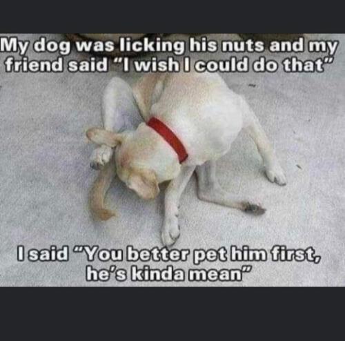 FB_IMG_1662648678667