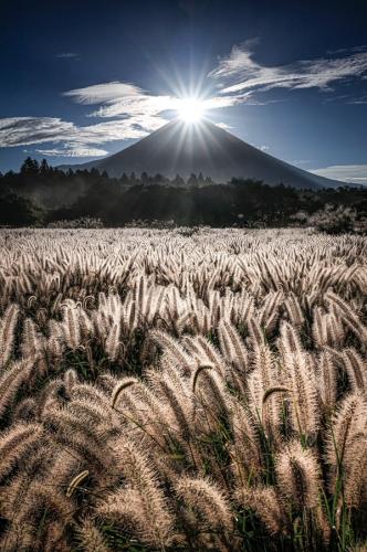 tumblr_783e5a62a131928e6eec779fba97f39a_8faa847c_640