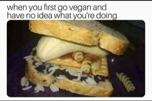 FB_IMG_1662737010612