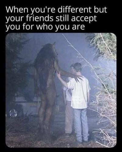 305456097_5672737609479315_1916269208537571101_n