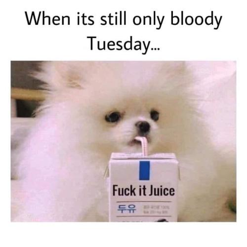 296774933_752881989098469_6124974110364976831_n