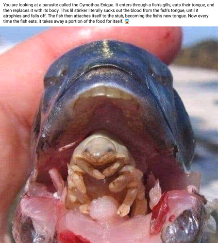 Screenshot_2022-09-01-13-15-40_kindlephoto-308506322