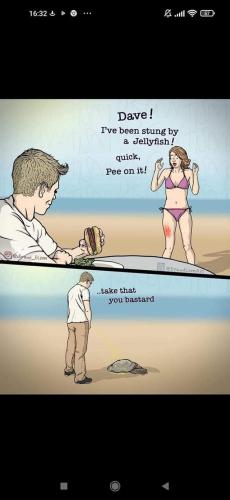 FB_IMG_1663084614769