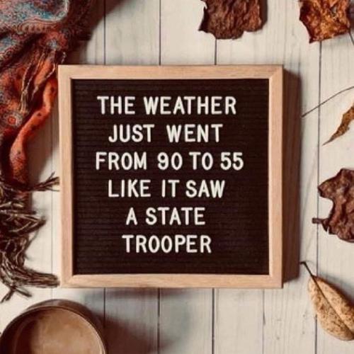 305924981_462846712557340_6854865391533902513_n