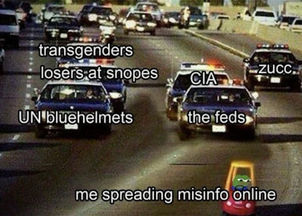 me spreading misinfo online