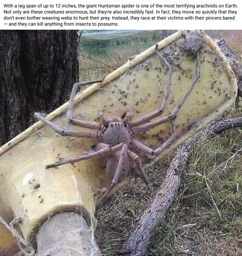 Screenshot_2022-09-01-13-04-54_kindlephoto-308703655