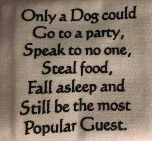 297767911_422281583255615_5620377190277374381_n