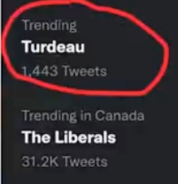 Screenshot_2022-09-19-15-04-22-099_com.camerasideas.trimmer