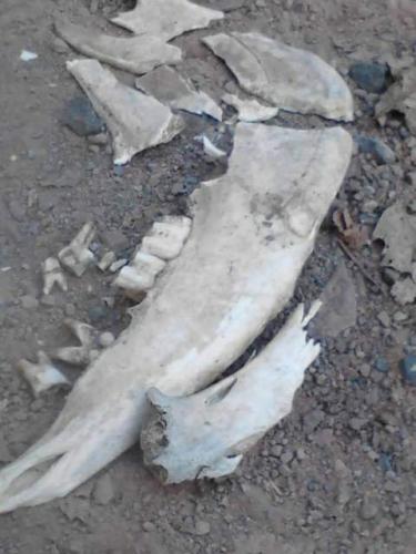 FB_IMG_1661990803795