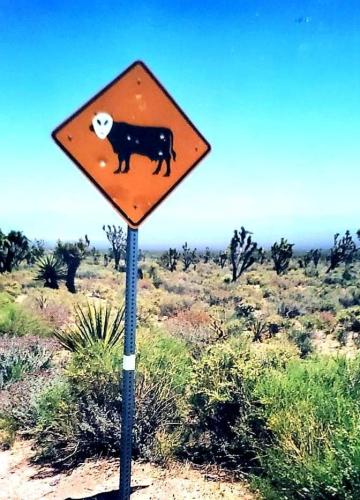 FB_IMG_1662181899093