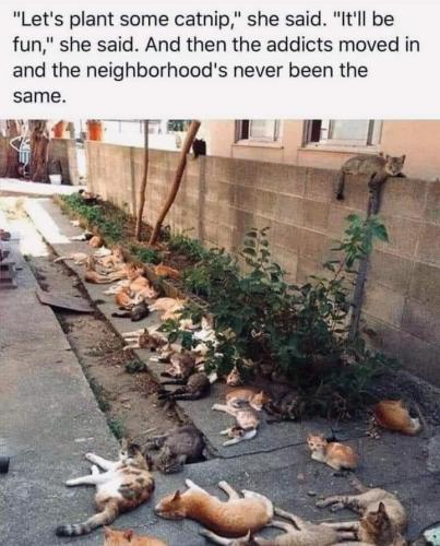 received_844451473160269