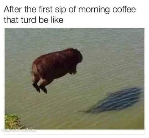 FB_IMG_1662182669185