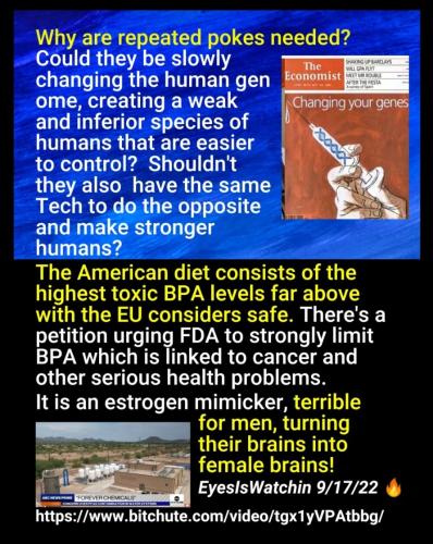 Screenshot_2022-09-20-09-00-54-783_com.google.android.apps.photos