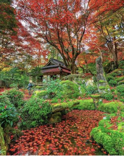 307269367_204107668636683_9200653955138883286_n