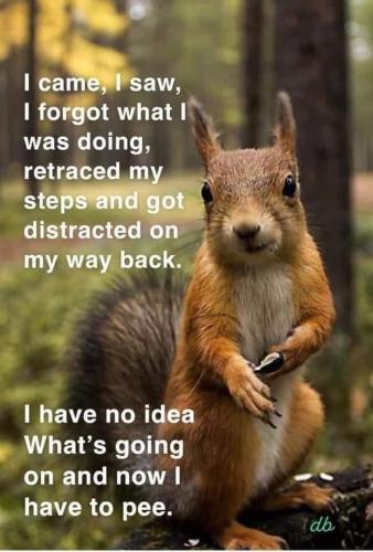 IMG_20220920_090748_730