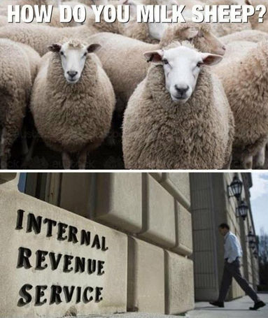 irs56