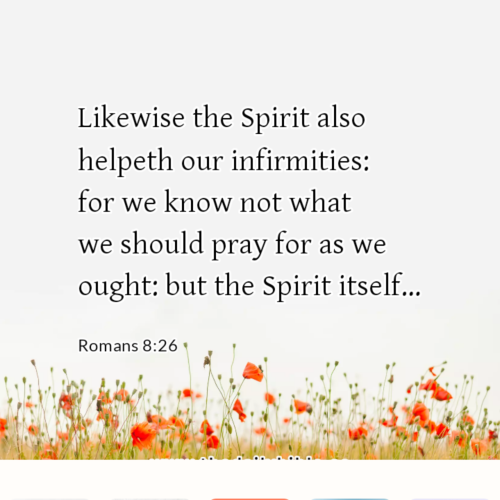 dailybible_20220928-233951_Romans_8-26