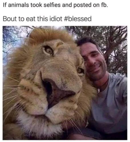 FB_IMG_1664215354354