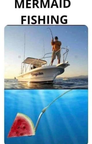 FB_IMG_1664038553070