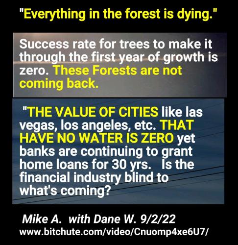 Screenshot_2022-09-03-08-45-27-241_cn.wps.moffice_eng