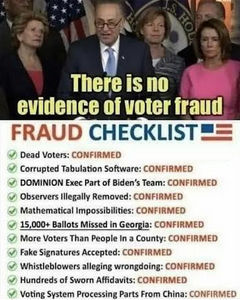 voterfraud357