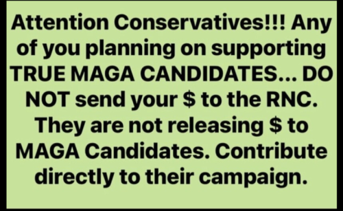 MAGA Candidates 1
