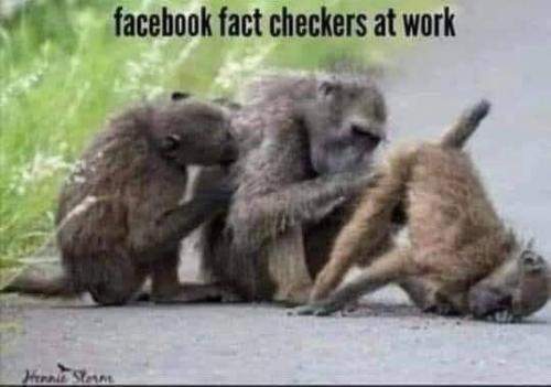 FB_IMG_1662488344314