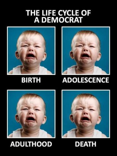 FB_IMG_1663006496945