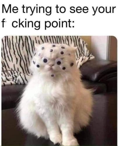 FB_IMG_1663336776979
