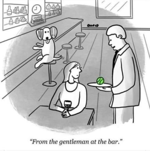 302443293_518235756898619_1055784743736715716_n