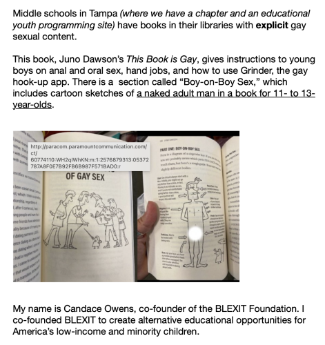 dempervs gay book school groomers lgbtxyz child abuse