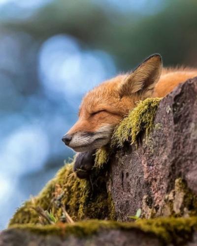 tumblr_prypmdVjg61rb8uu3_540