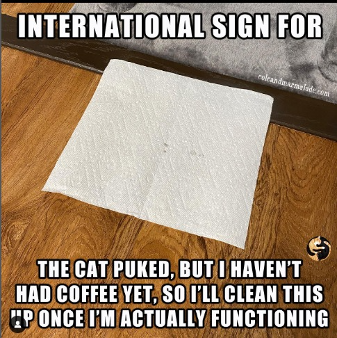 captures_chrome-capture-2022-8-15 (6)