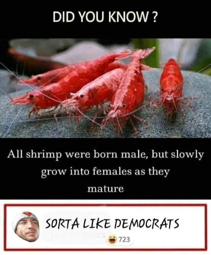 FB_IMG_1664040397828